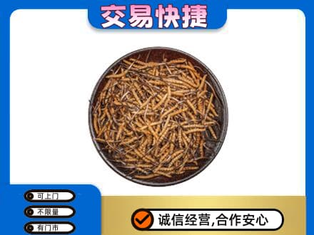 崇左礼品回收虫草.jpg