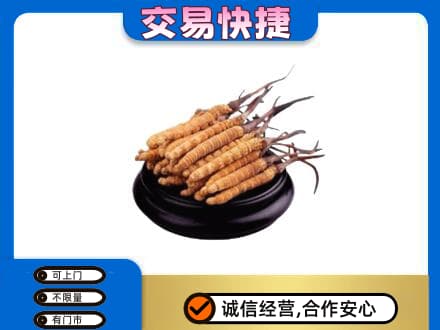 崇左礼品回收散虫草.jpg